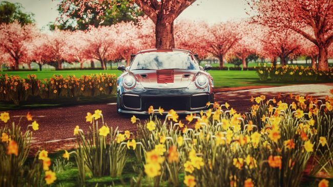porsche with flowers