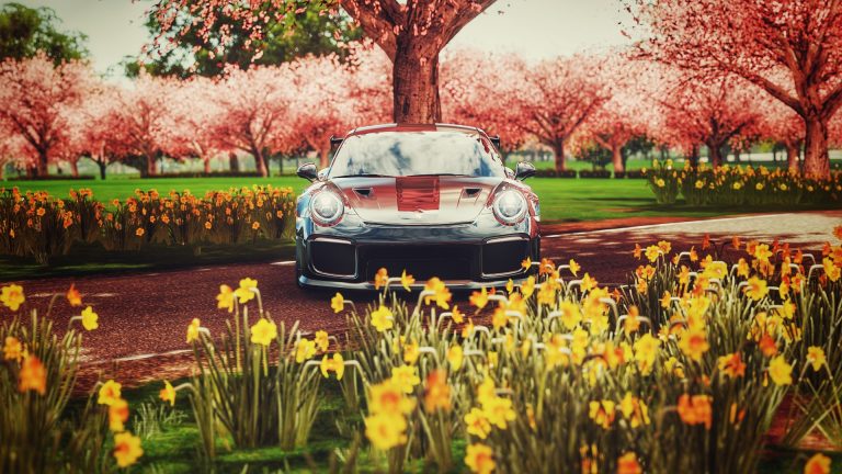 porsche with flowers