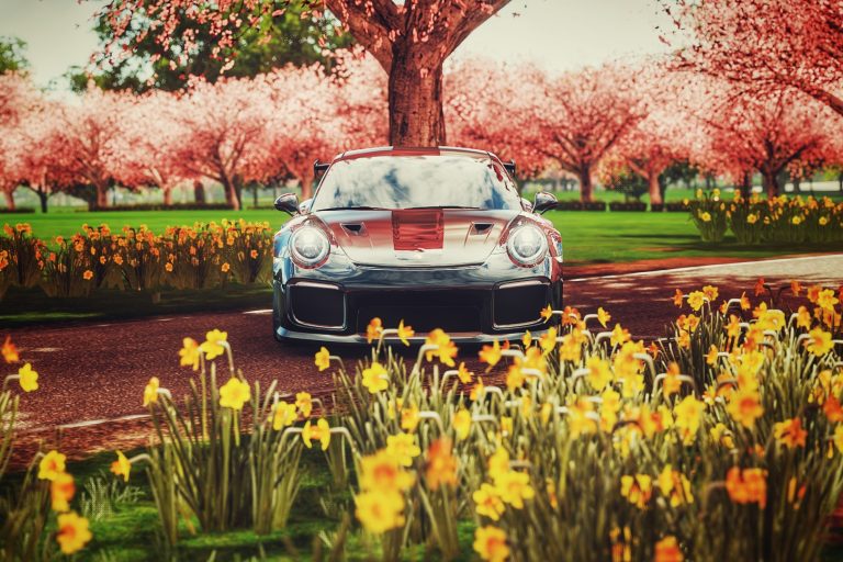 porsche with flowers